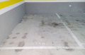 Foto3