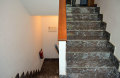 Foto7