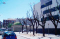 Foto3