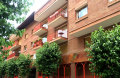 Foto1