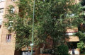 Foto2