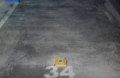 Foto5