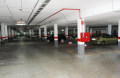 Foto5