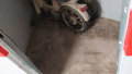 Foto4