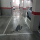 Foto8