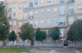 Foto7
