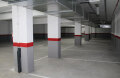 Foto8