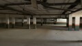 Foto5