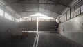 Foto6