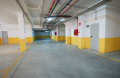 Foto8