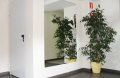 Foto5