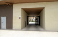 Foto8
