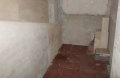 Foto1