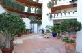 Foto8