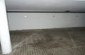 Foto19