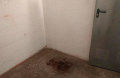 Foto2