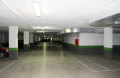 Foto5