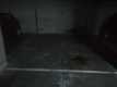 Foto3