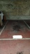 Foto6