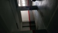 Foto1