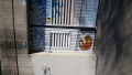 Foto5