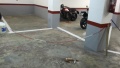 Foto1