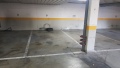 Foto1