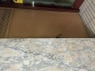 Foto2