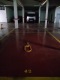 Foto4