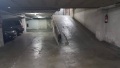 Foto2