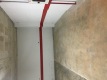Foto1