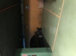 Foto1