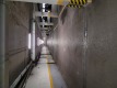 Foto8