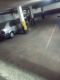 Foto8