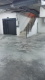 Foto3