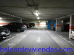 Foto8
