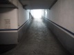 Foto5