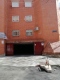 Foto6