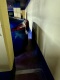 Foto3