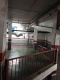 Foto7