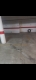 Foto2