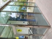 Foto5